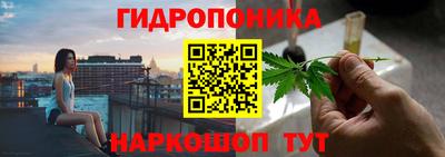 МДПВ Обнинск