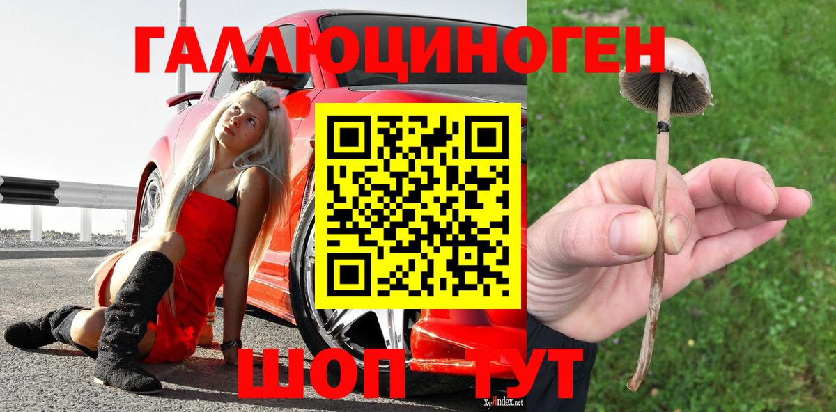 Галлюциногенные грибы Psilocybine cubensis Рассказово